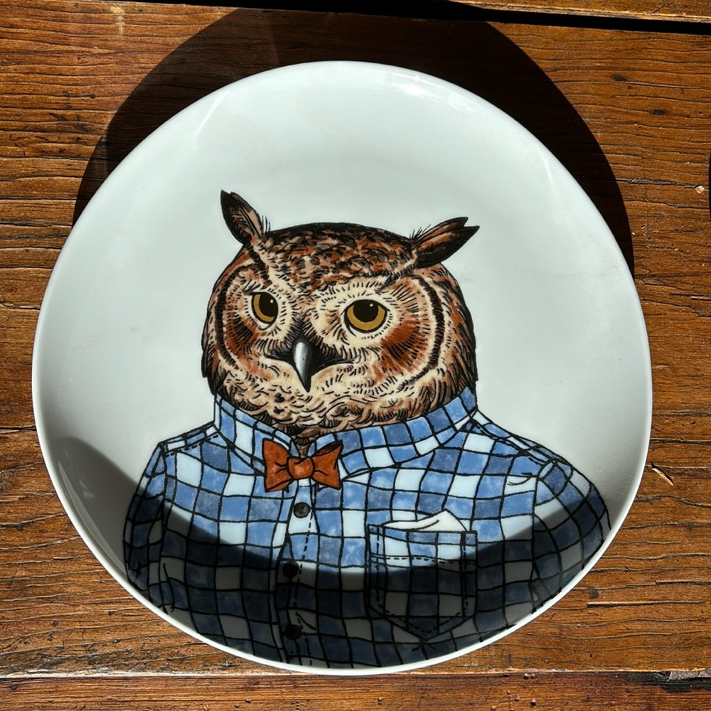 Brand New West Elm Owl Plate